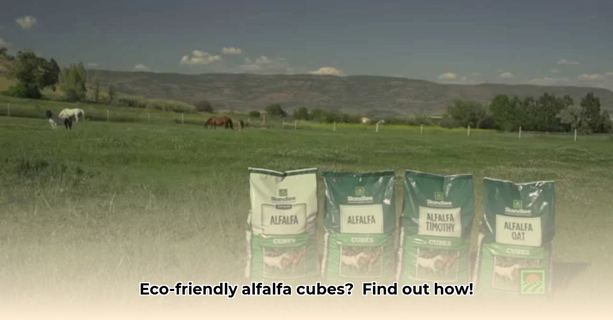 alfalfa-cubes-tractor-supply